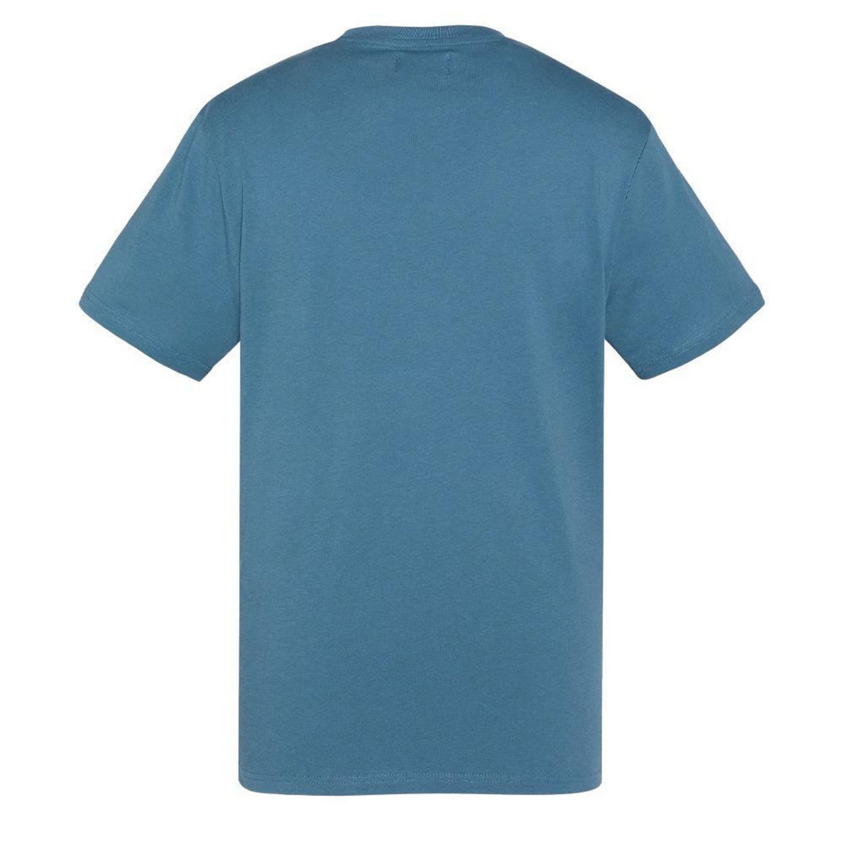 Schott T shirt  Homme Schott TSUSTOUR