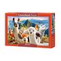 Voir la diapositive 2 : Castorland Puzzle 1000 pièces : Selfie de Lamas
