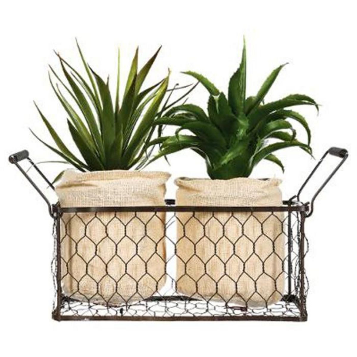 ATMOSPHERA Lot de 2 Aloe Vera & Panier  Well  23cm Vert