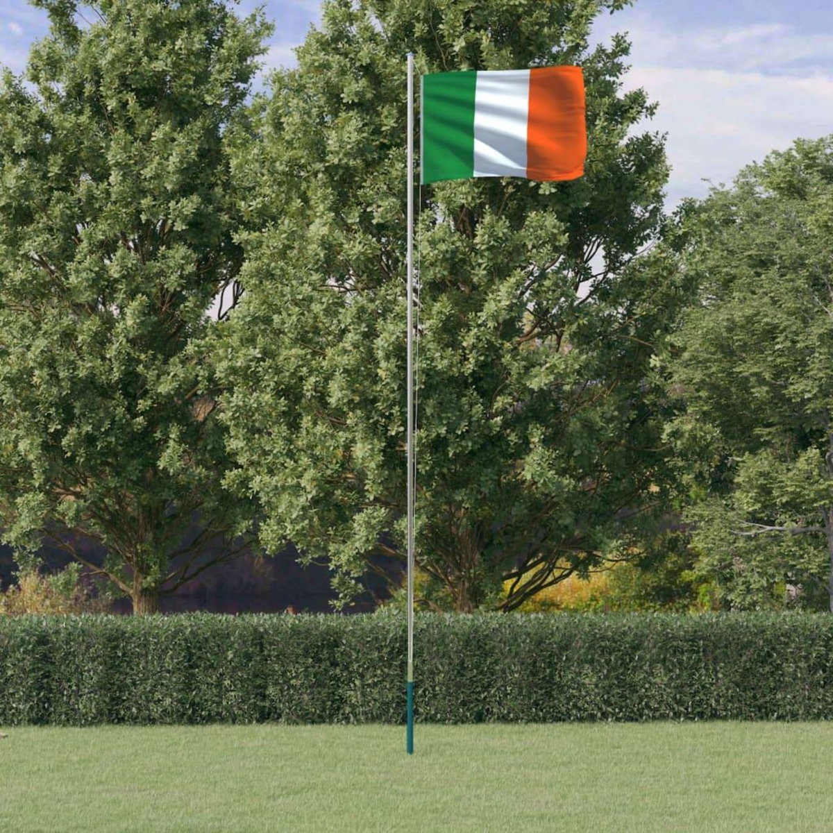 VIDAXL Drapeau de l'Irlande et mat 6,23 m Aluminium