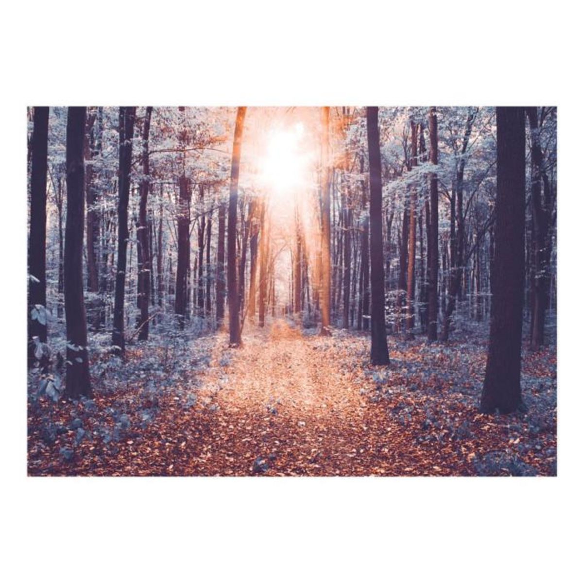 Paris Prix Papier Peint  Edge of the Sun