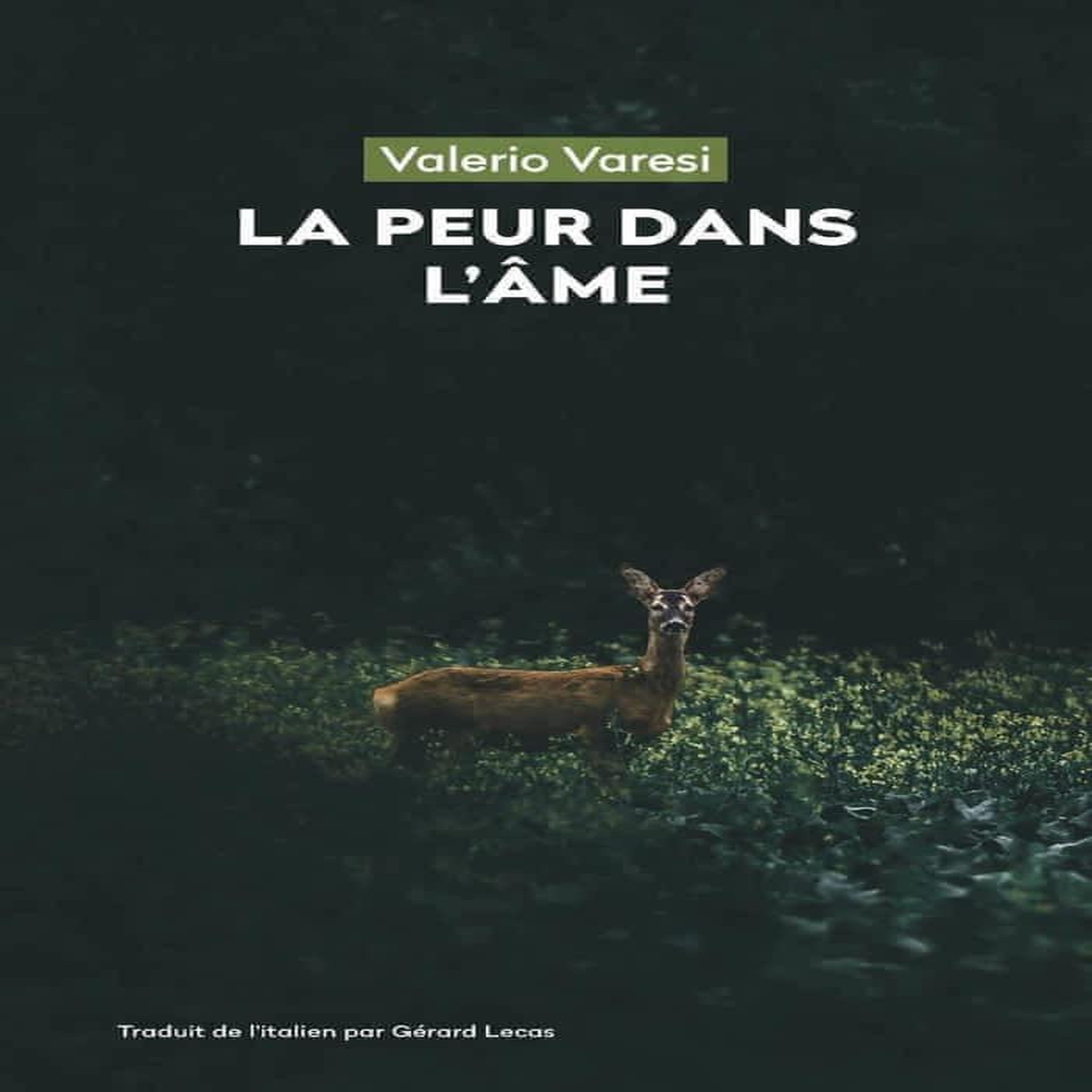 PEUR DANS L'AME, Varesi Valerio