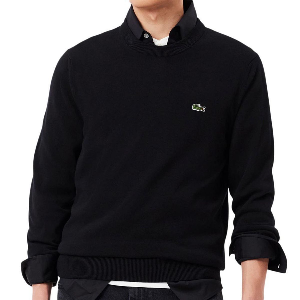 Lacoste Pull  Homme Lacoste Pull Lacoste AH2193