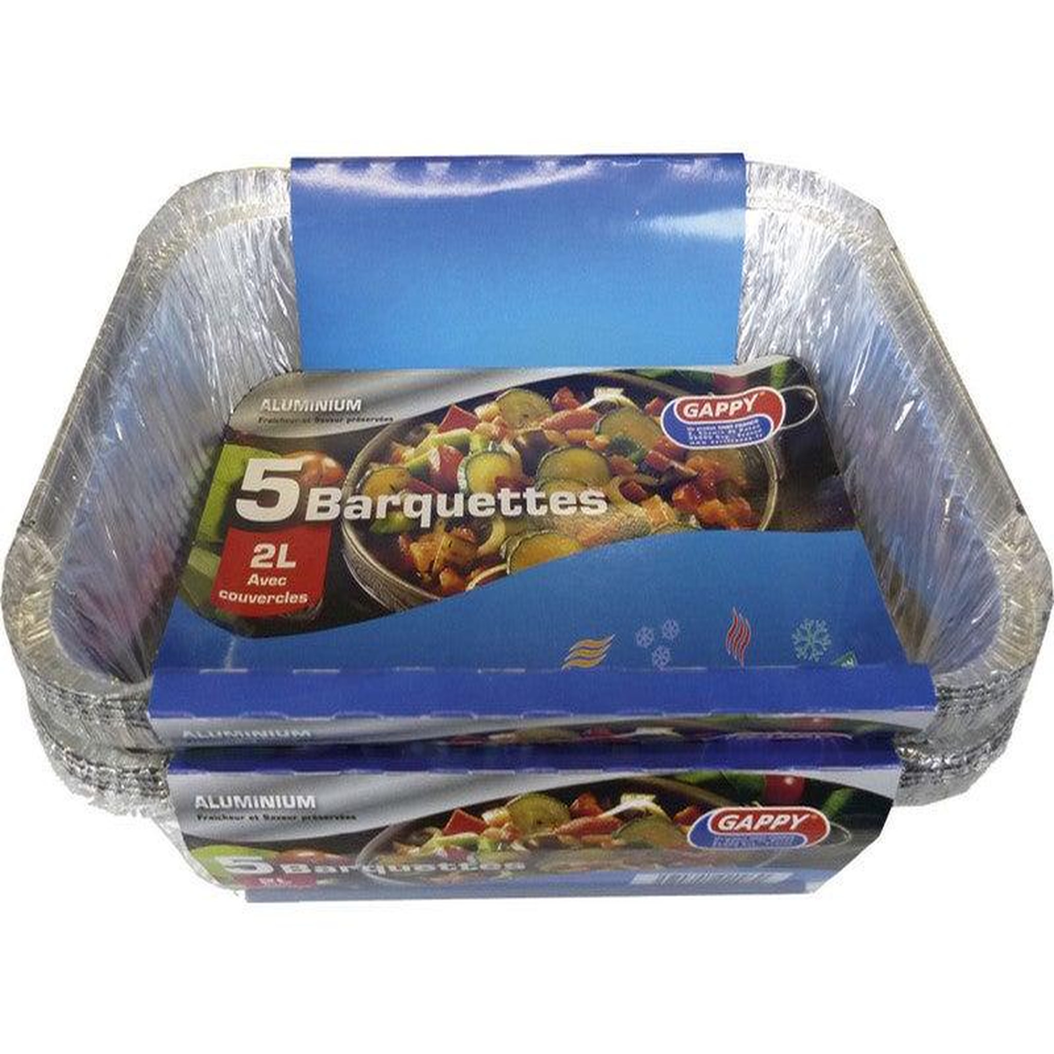 CENTRALE BRICO Lot de 5 barquettes aluminium 2L