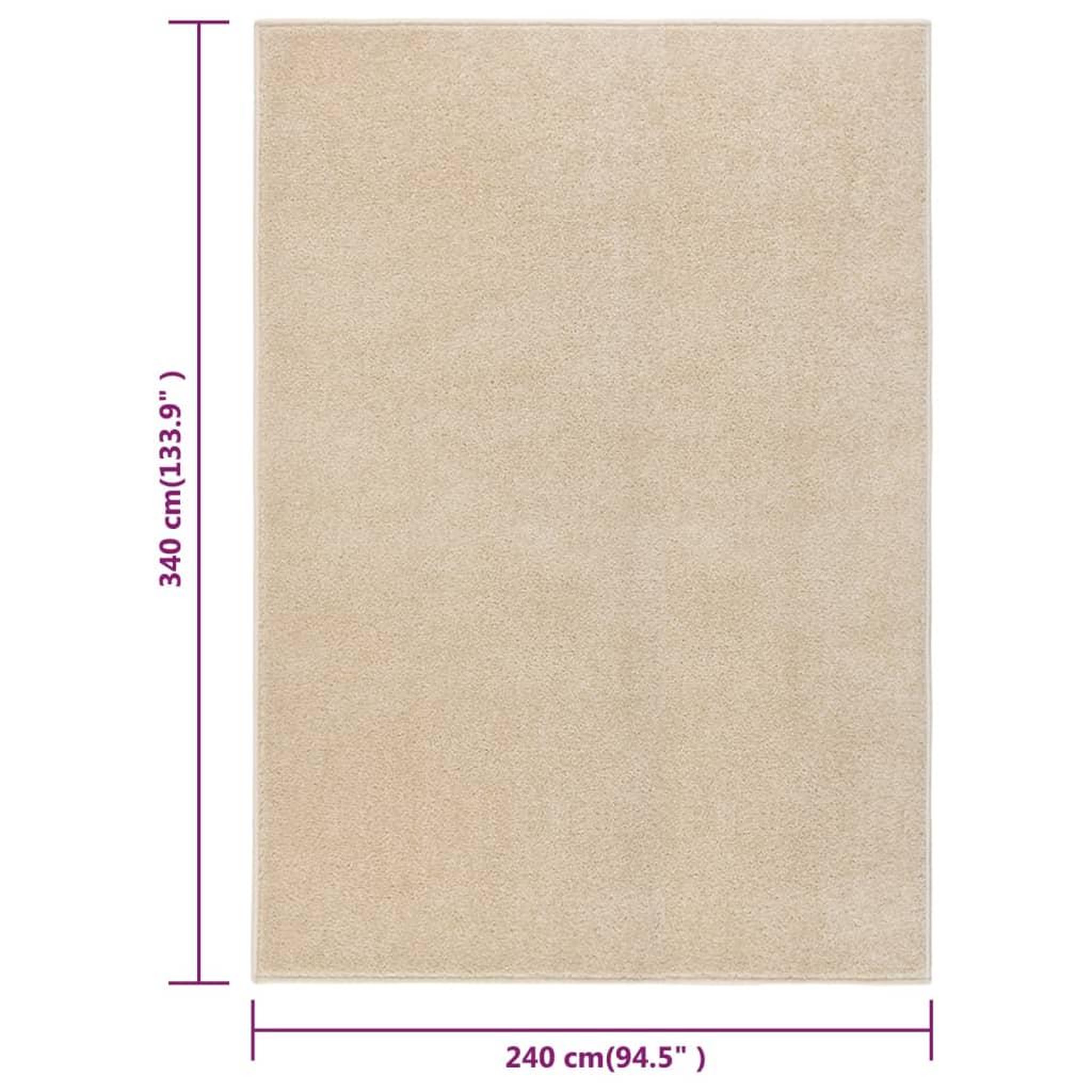 Voir la diapositive 6 : VIDAXL Tapis a poils courts 240x340 cm Beige