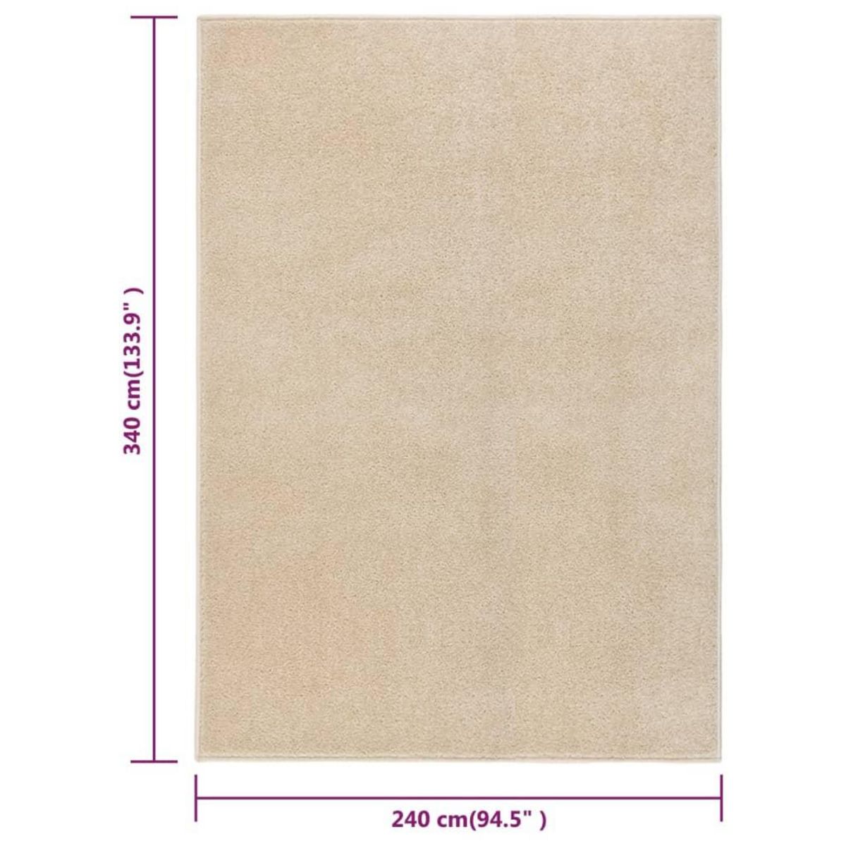 VIDAXL Tapis a poils courts 240x340 cm Beige