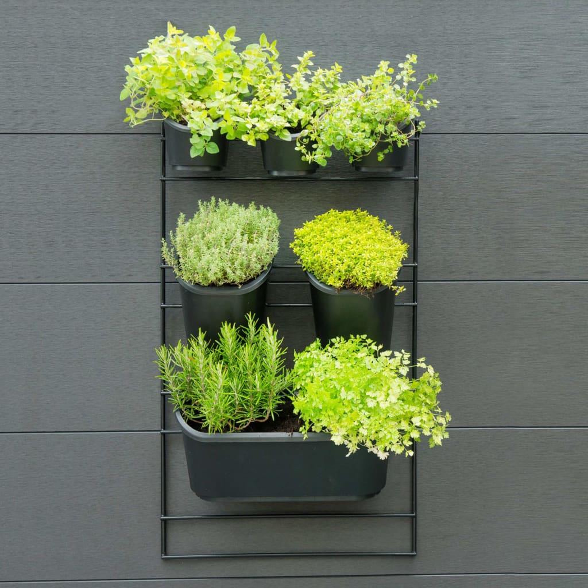 Voir la diapositive 1 : NATURE Nature Kit mural de jardin vertical
