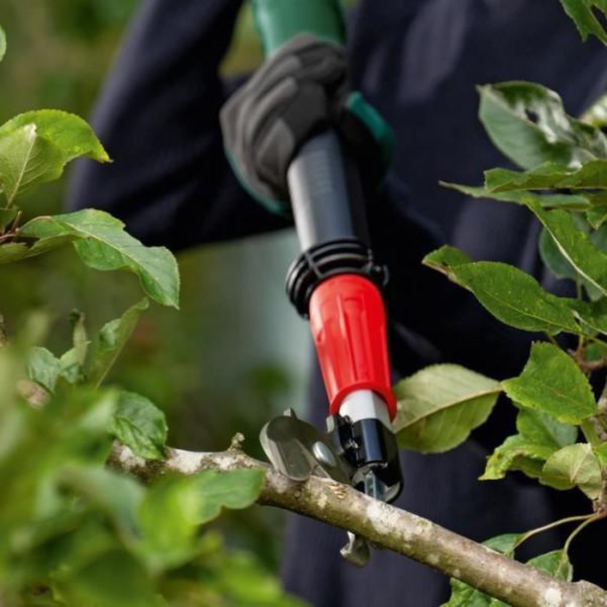 Voir la diapositive 3 : BOSCH Elagueur sans fil advancedprune 18v-45