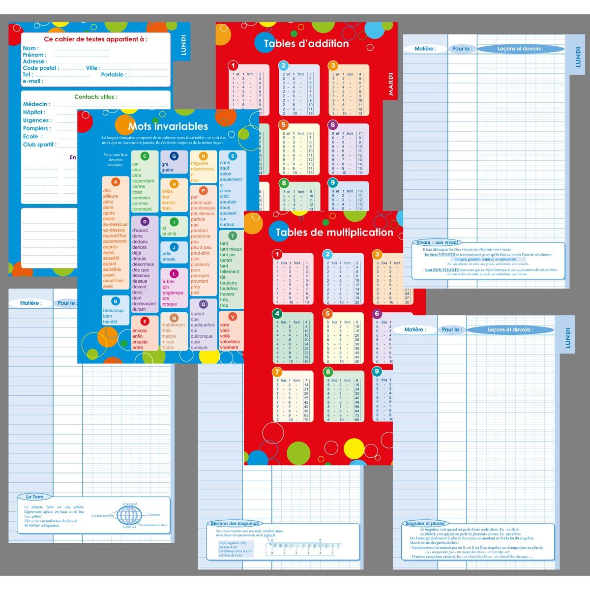 Histoires de filles AUC Cahier de texte fille 15,5x21,5cm 204 pages Love rose