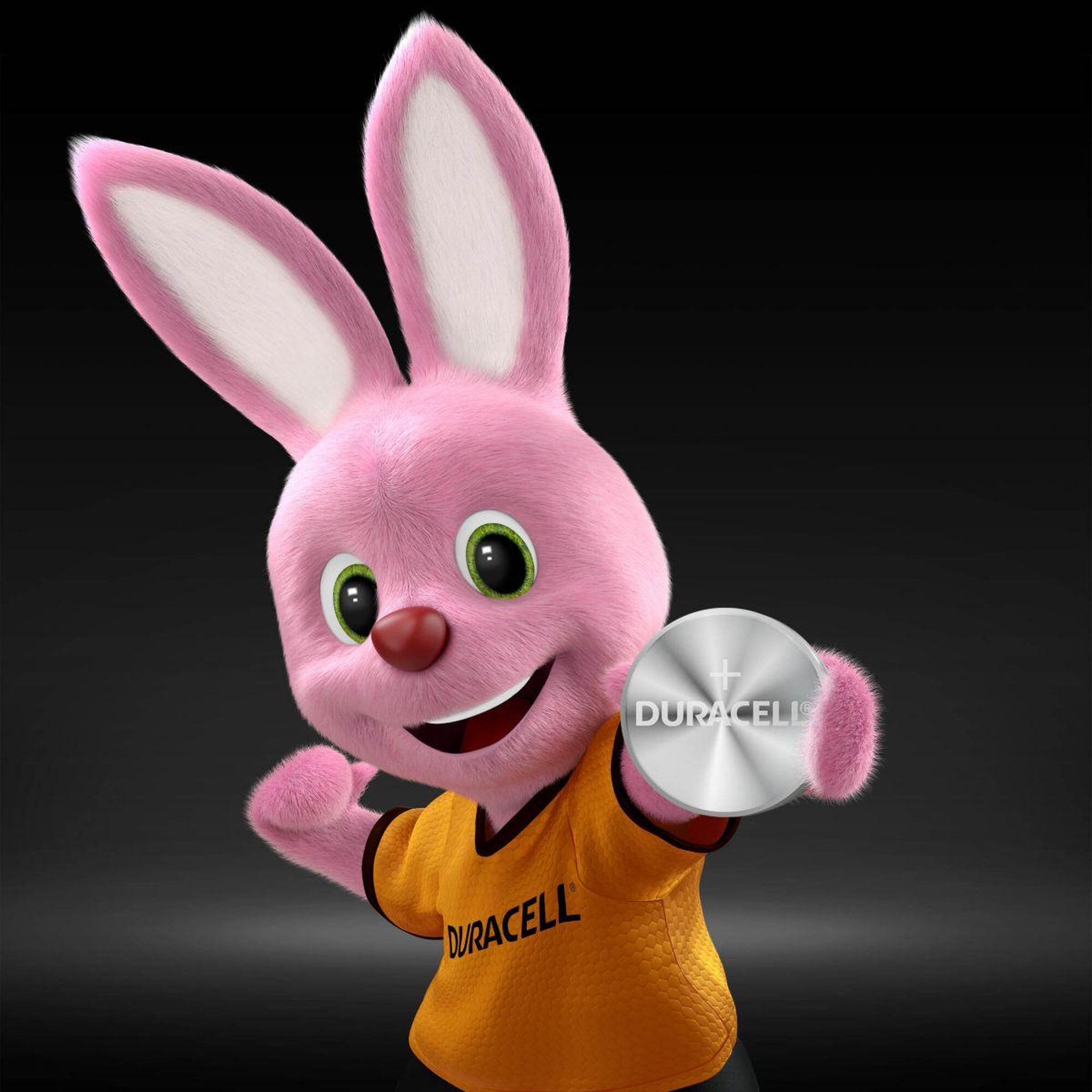 Voir la diapositive 4 : Duracell Pile lithium 2450, 1 unité