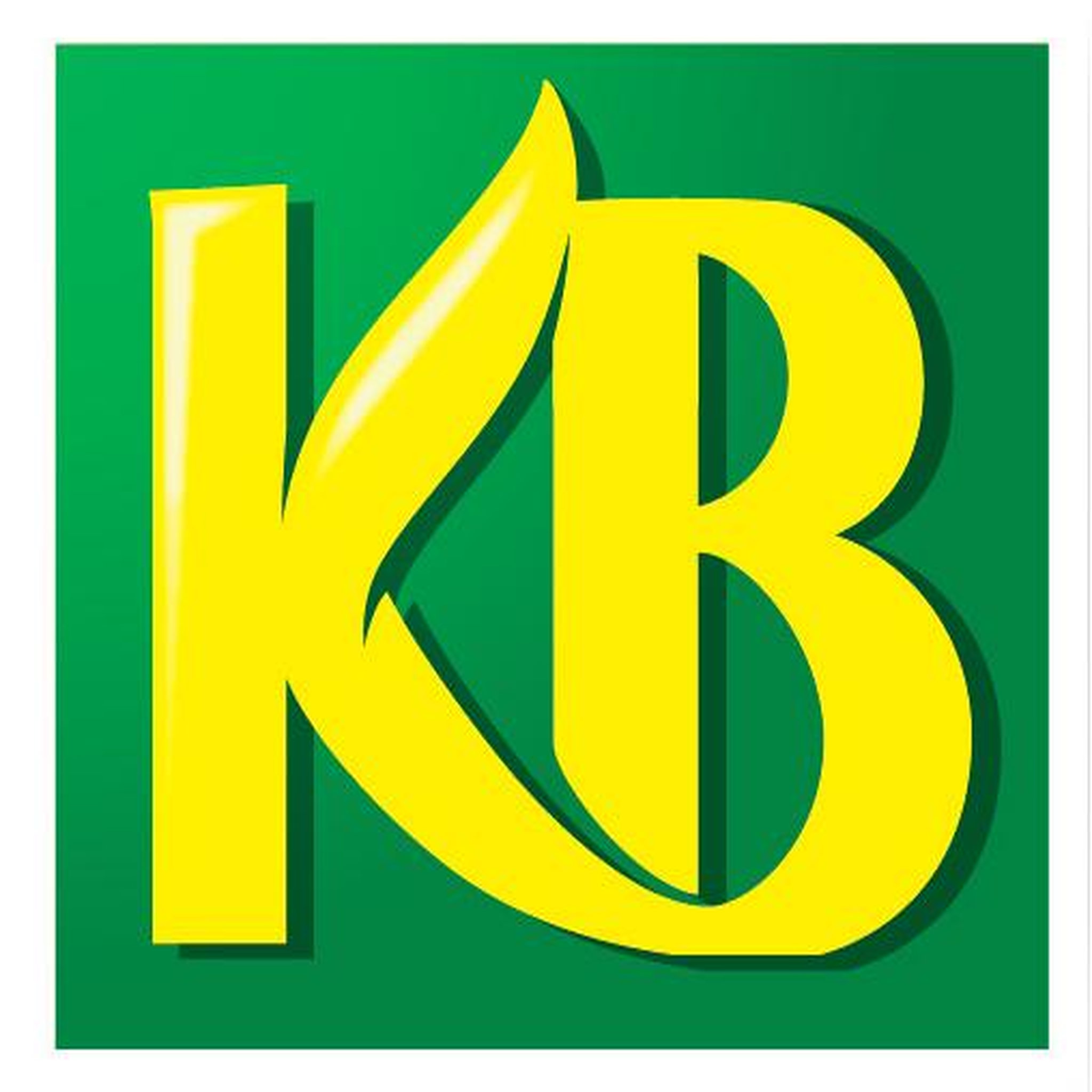 Voir la diapositive 2 : KB TERRE VEGETALE ENRICHIE 35L