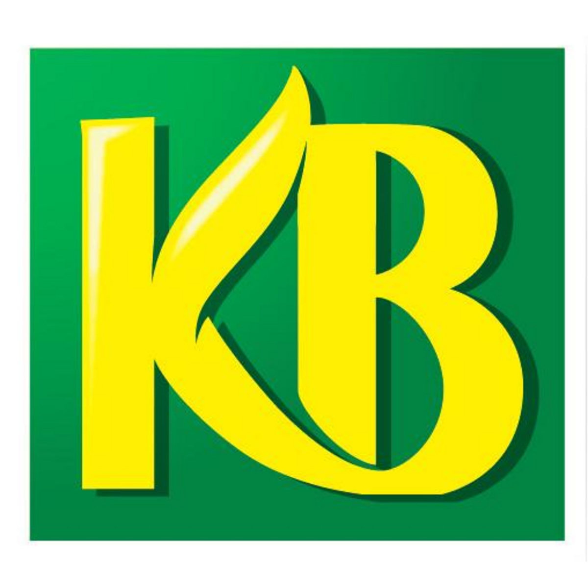 KB TERRE VEGETALE ENRICHIE 35L