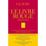 LE LIVRE ROUGE. LIBER NOVUS, Jung Carl Gustav