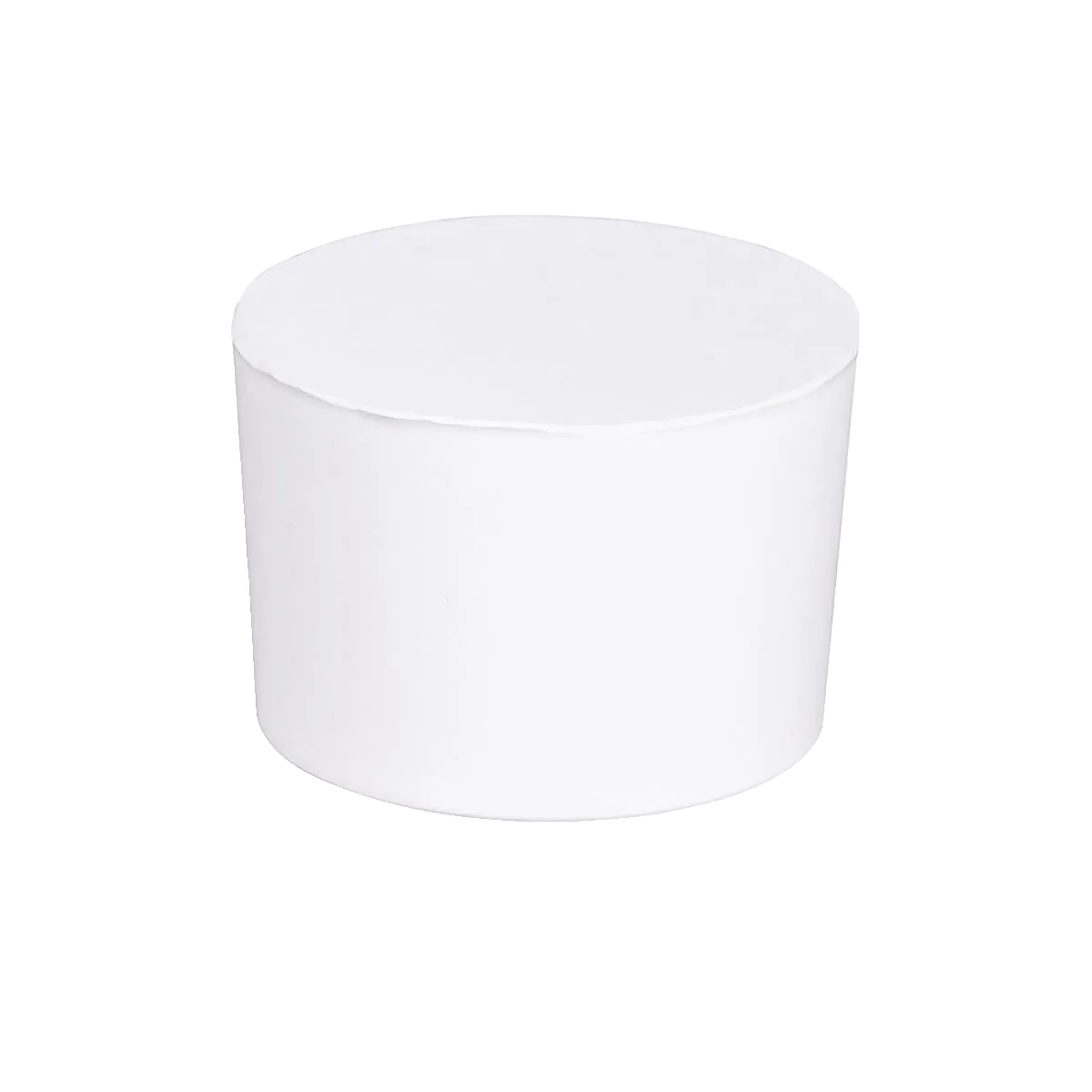 Wenko Absorbeur d'humidité Wenko 1000g pour 80 m³