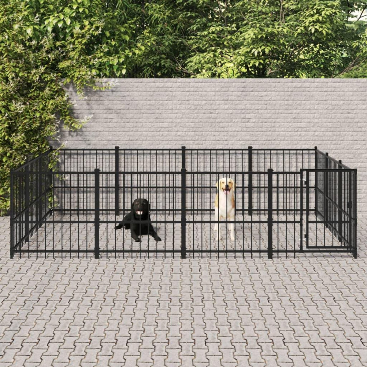 VIDAXL Chenil d'exterieur pour chiens Acier 11,58 m²