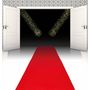 Voir la diapositive 2 : Boland Petit Tapis rouge jetable 4,5 mètres