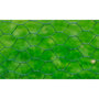 Voir la diapositive 3 : VIDAXL Grillage a poule avec revetement en PVC 25x0,5 m vert