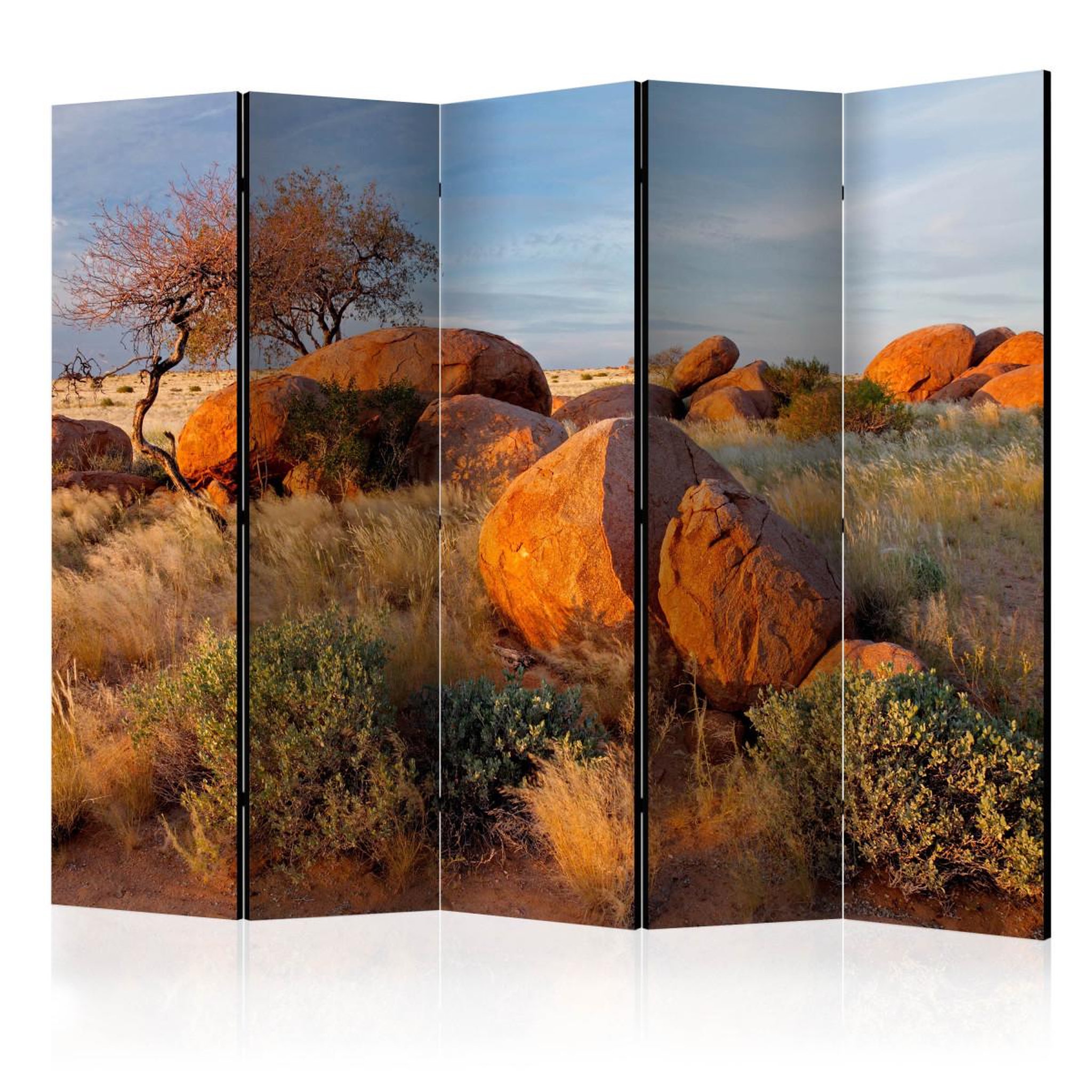 Paris Prix Paravent 5 volets  african landscape, namibia  172x225cm