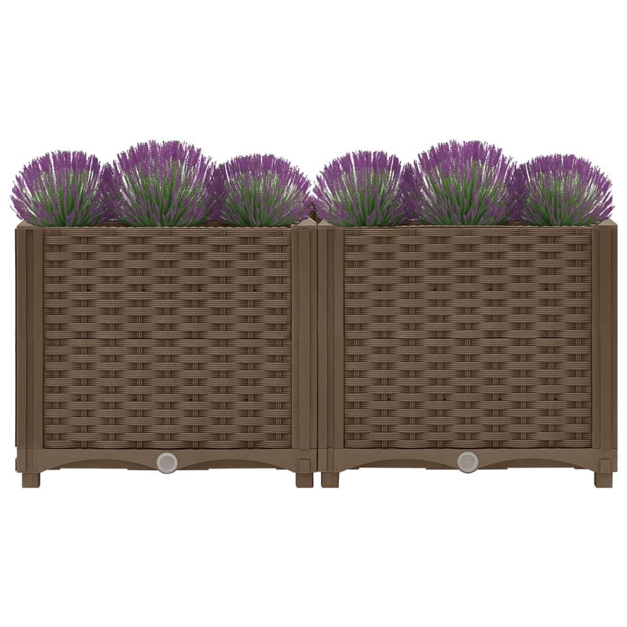 Voir la diapositive 3 : VIDAXL Lit sureleve 80x40x38 cm Polypropylene