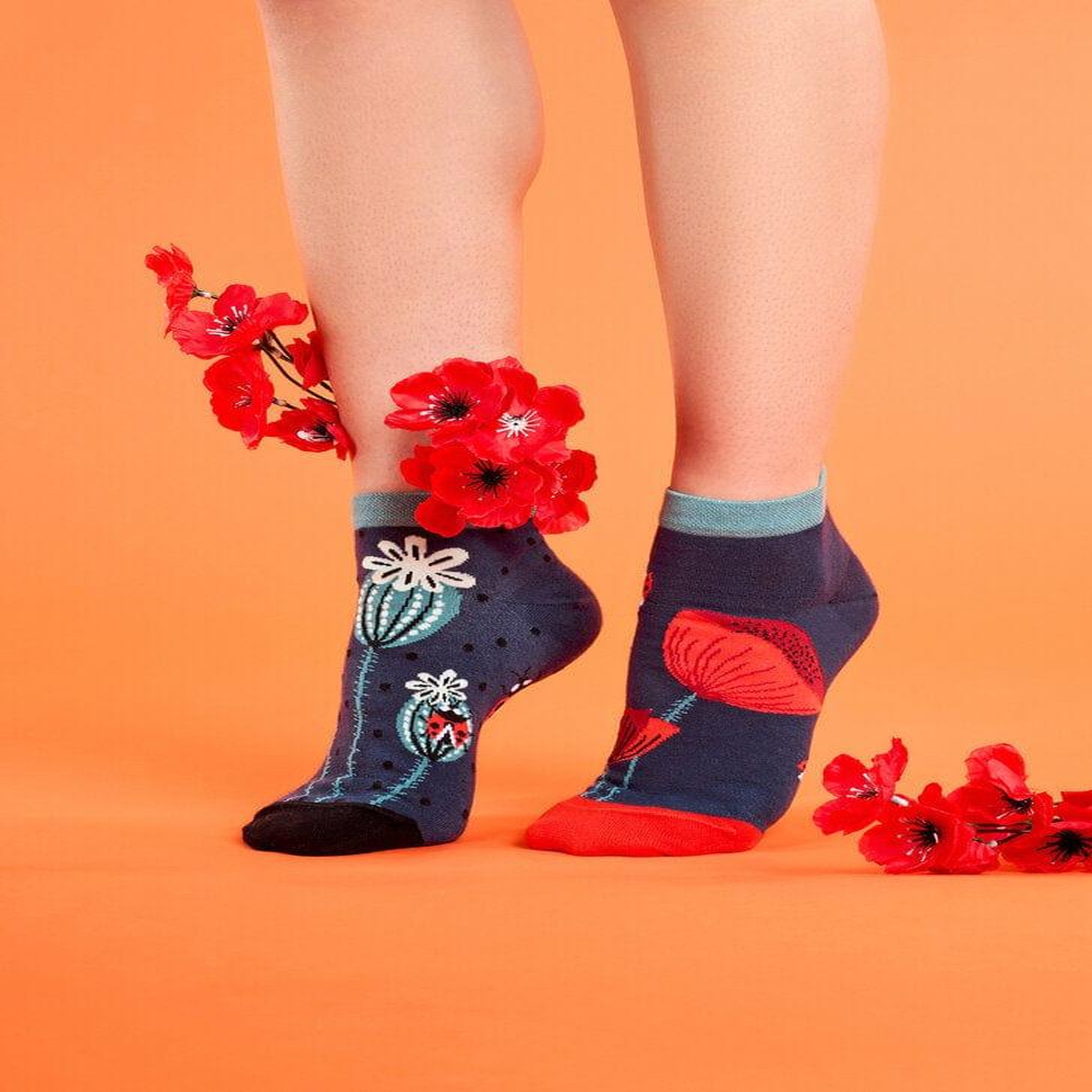 Voir la diapositive 2 : DEDOLES Socquettes coccinelles et fleurs de pavot