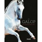 AU GALOP. LES CHEVAUX DANS L'ART, Hyland Angus