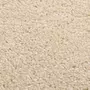 VIDAXL Tapis a poils courts 80x150 cm Beige