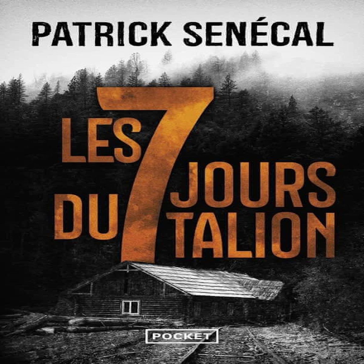 LES SEPT JOURS DU TALION, Senécal Patrick