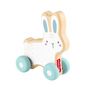 Voir la diapositive 1 : FISHER PRICE LAPIN A POUSSER EN BOIS