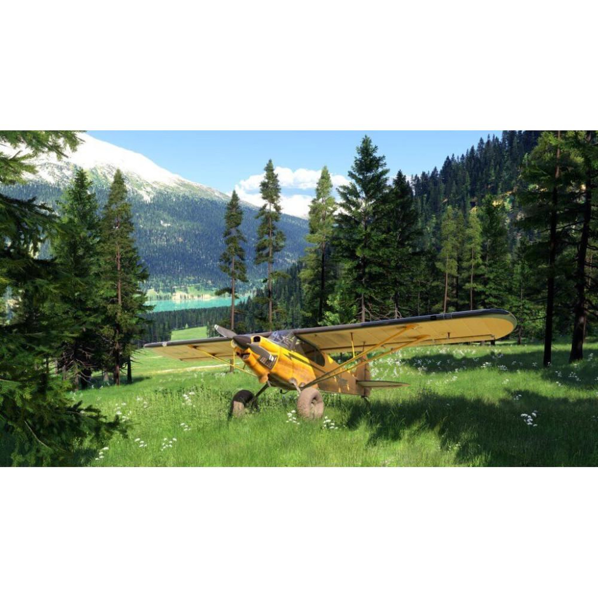 Voir la diapositive 5 : MICROSOFT Microsoft flight simulator 2024 ps5