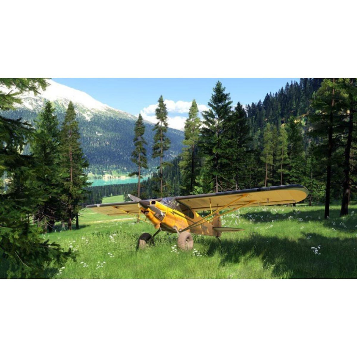 MICROSOFT Microsoft Flight Simulator 2024 PS5