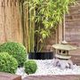 Voir la diapositive 5 : ID MARKET Barrière anti-racines bambou 5m 800gr anti-rhizomes H.60 cm