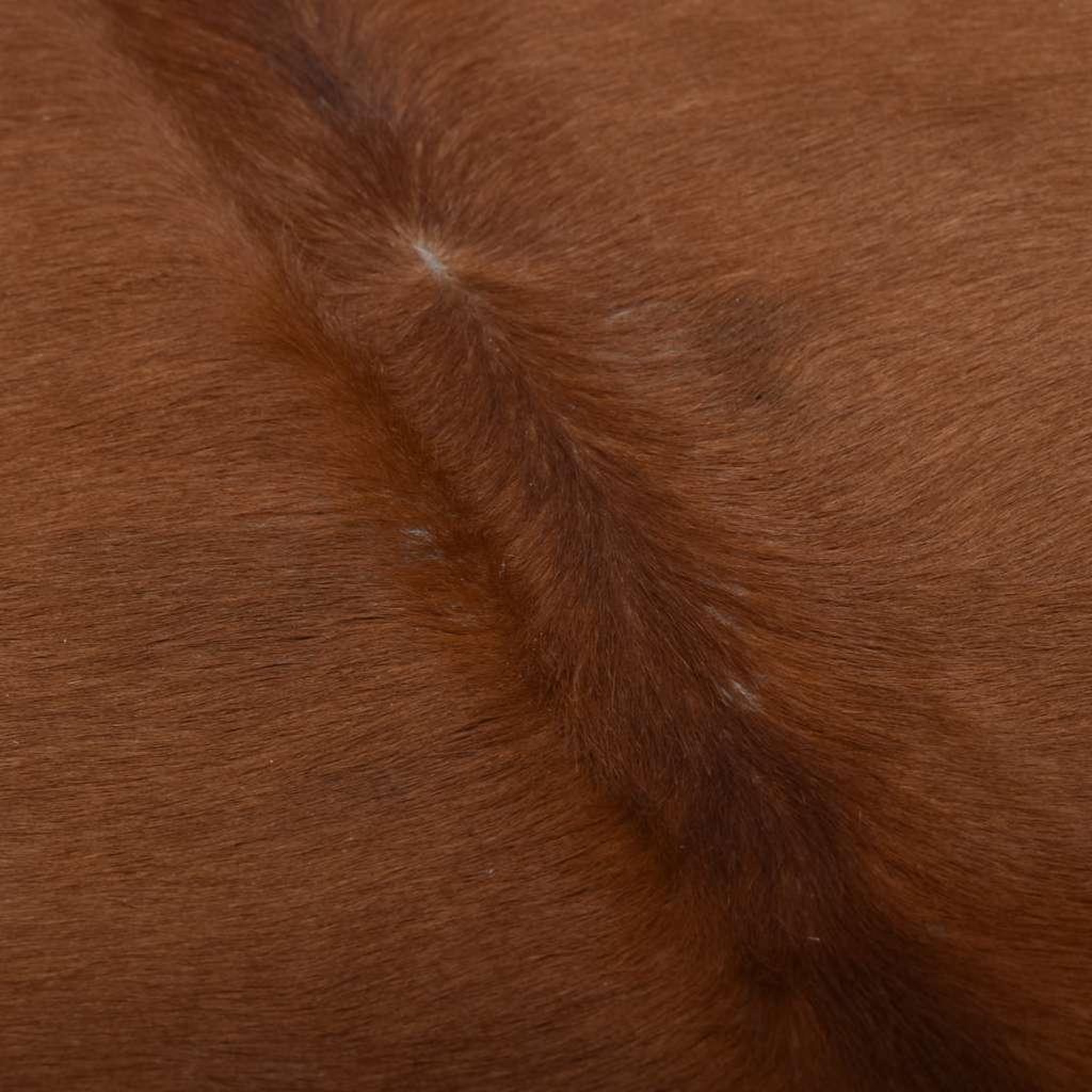 Voir la diapositive 3 : VIDAXL Tapis en peau de vache veritable marron et blanc 180x220 cm