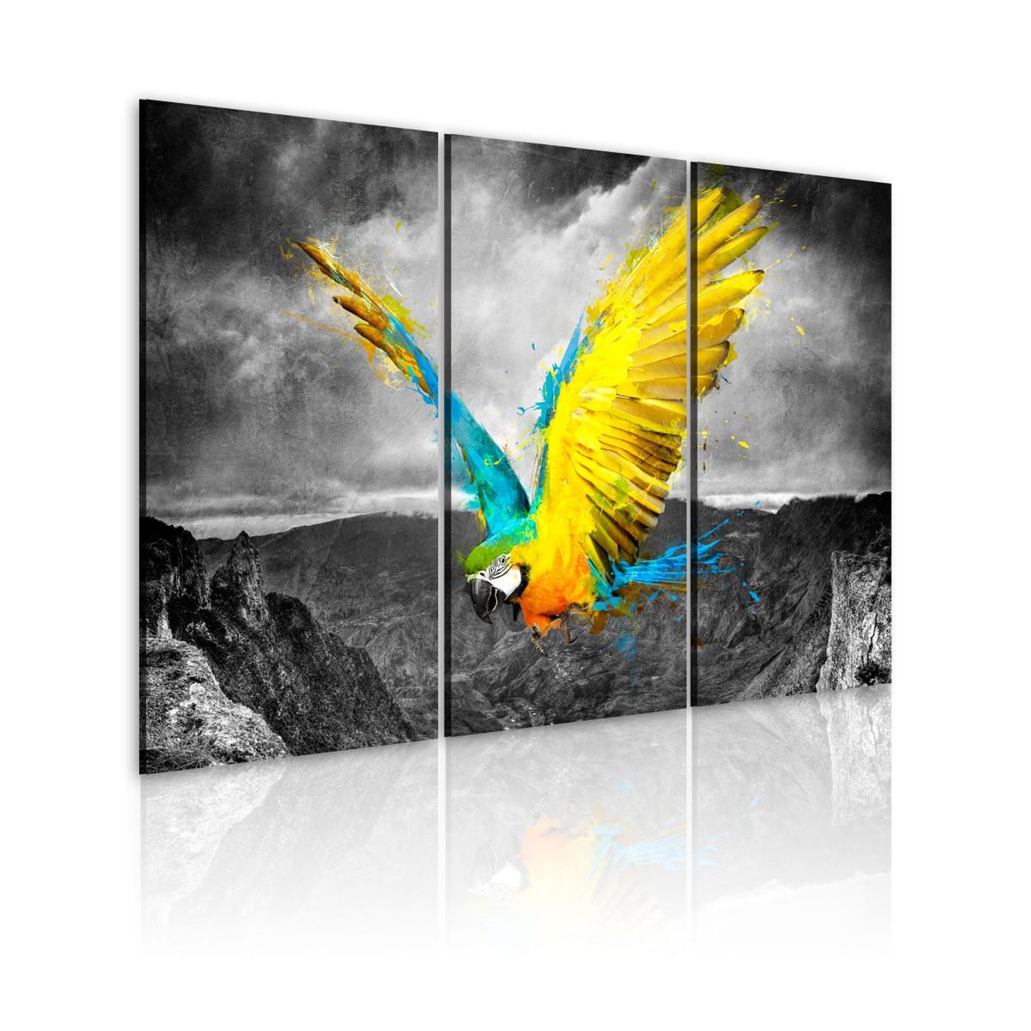 Paris Prix Tableau imprimé  oiseau de paradis. Coloris disponibles : Multicolore