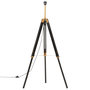 Voir la diapositive 3 : VIDAXL Lampadaire a trepied Noir et dore Bois de teck massif 141 cm