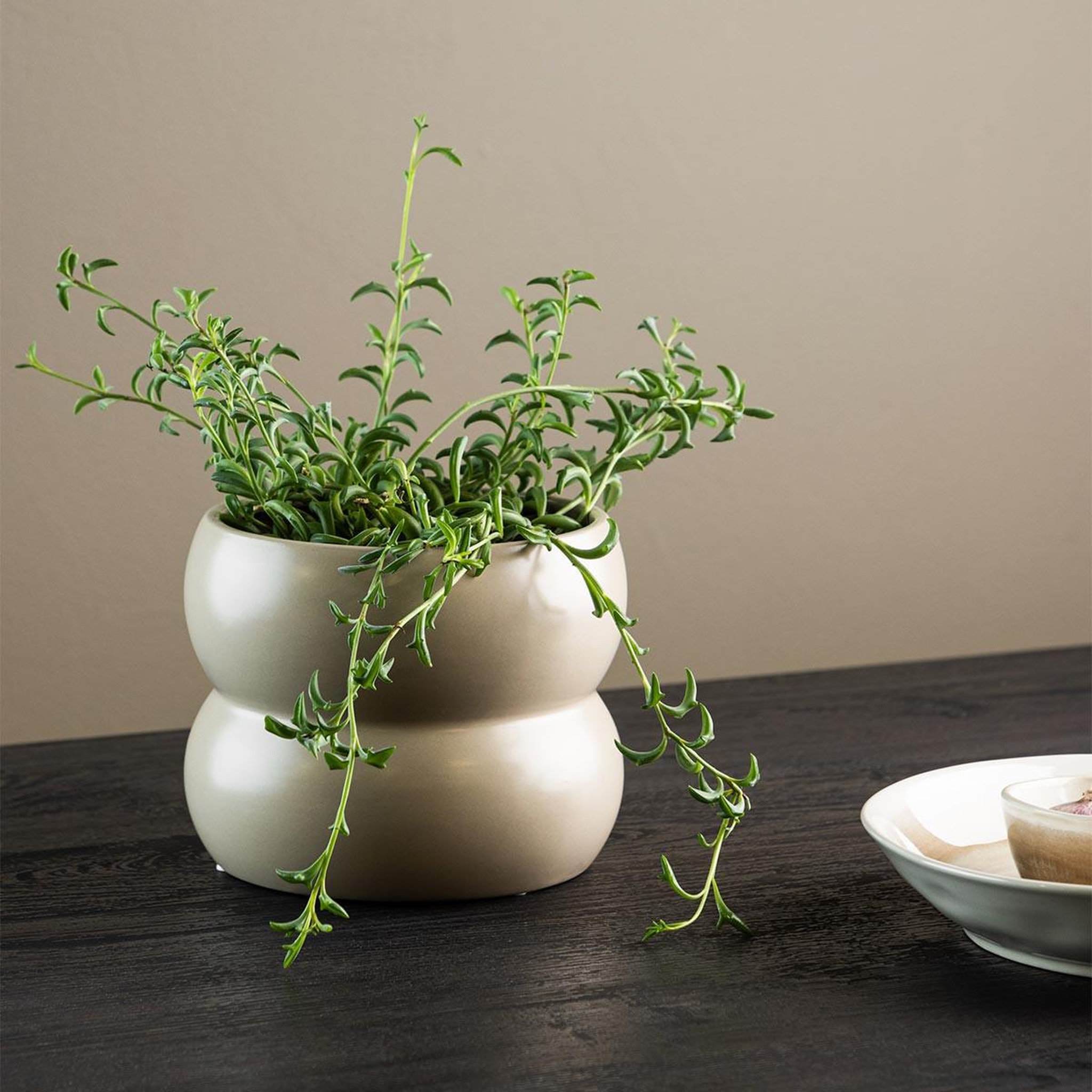 Voir la diapositive 2 : Paris Prix Pot Déco en Céramique  Dapne  16cm Beige