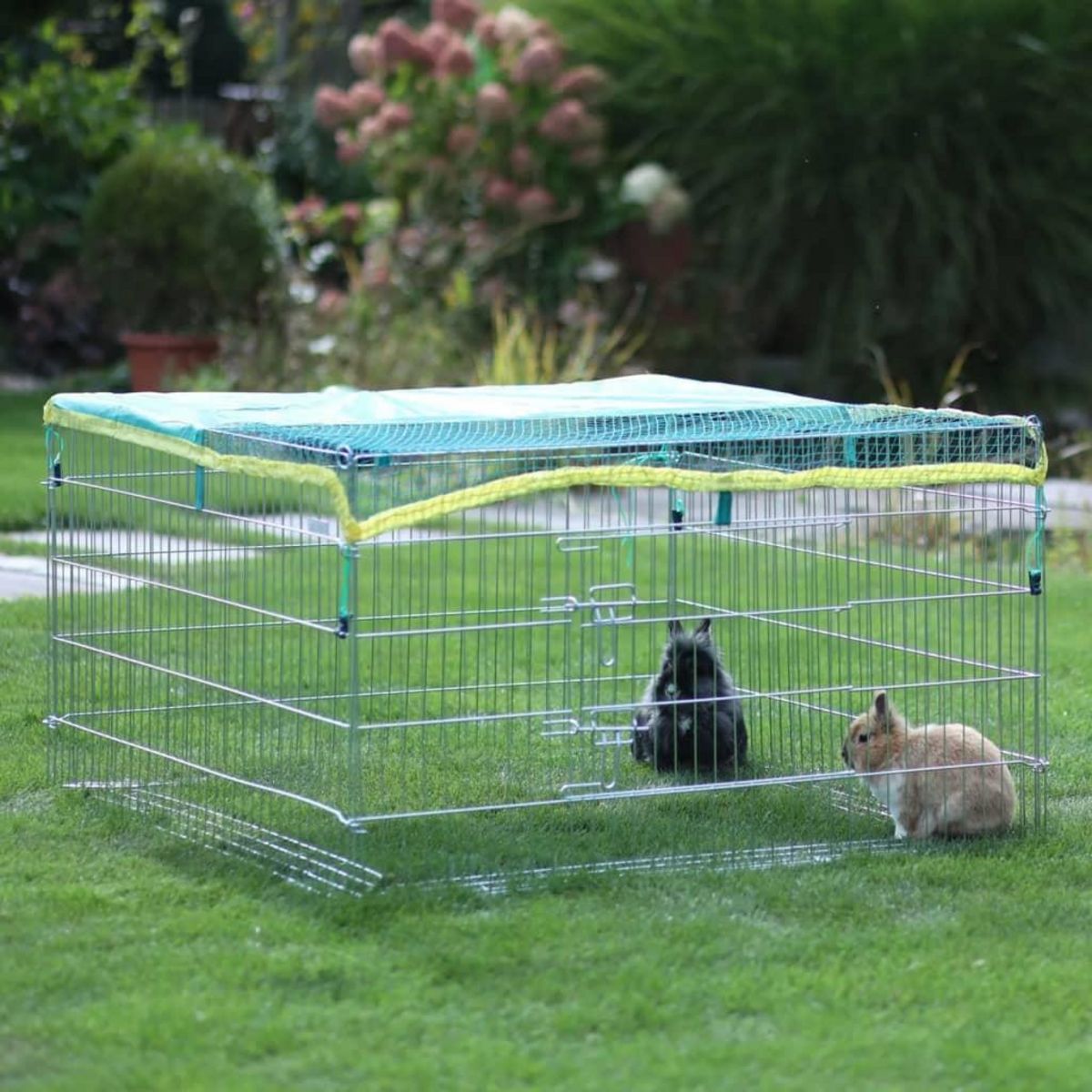 KERBL Kerbl Enclos exterieur pour petits animaux avec barriere de fuite