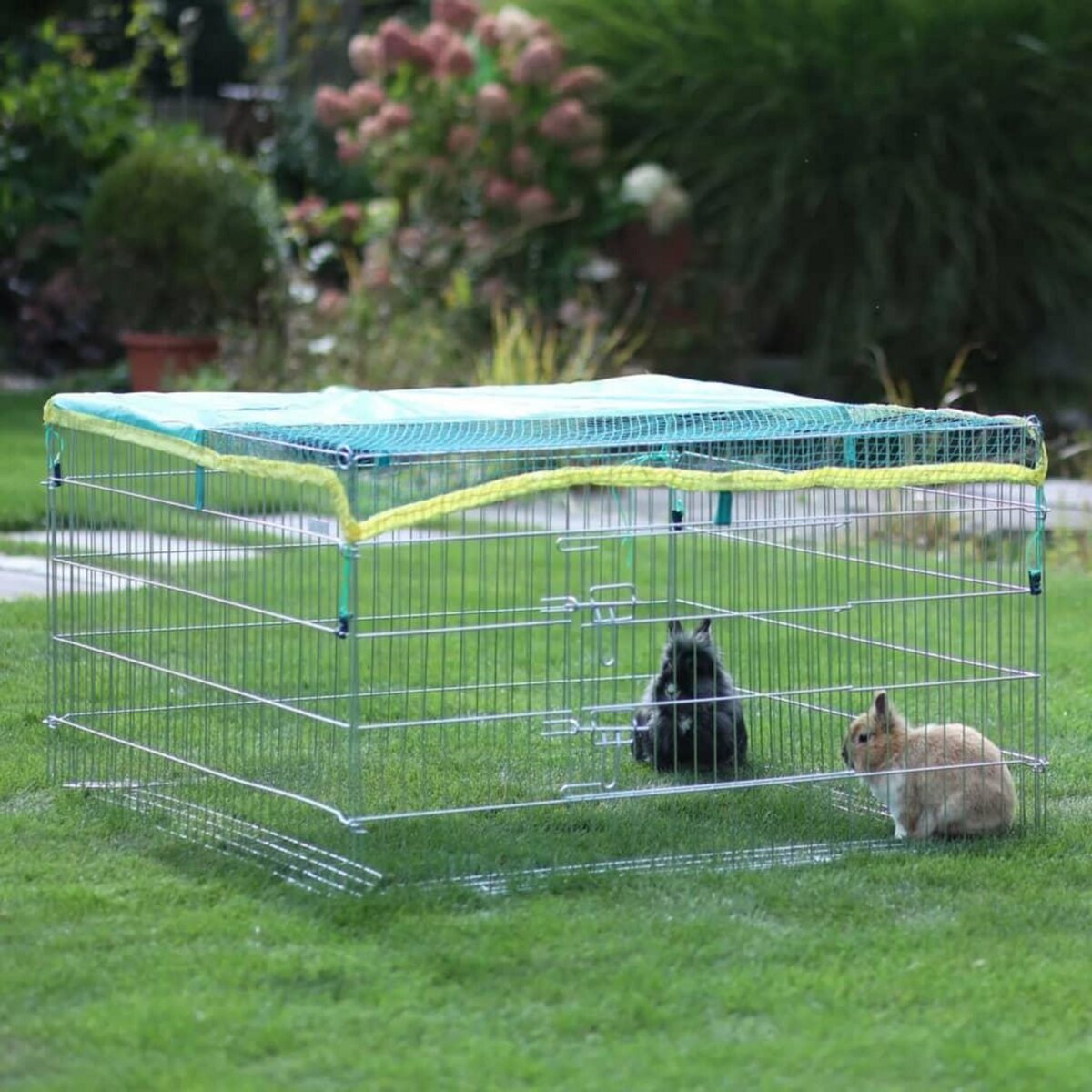 KERBL Kerbl Enclos exterieur pour petits animaux avec barriere de fuite