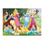 Voir la diapositive 2 : EDUCA Puzzle adulte 500 pièces Disney Princesses univers magique château princesses – Disney
