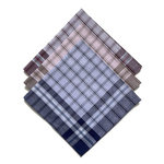 VANDERSICKEL Lot de 12 mouchoirs homme Rouen 50x50 cm 100% coton