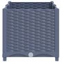 Voir la diapositive 4 : VIDAXL Lit sureleve 80x40x38 cm Polypropylene