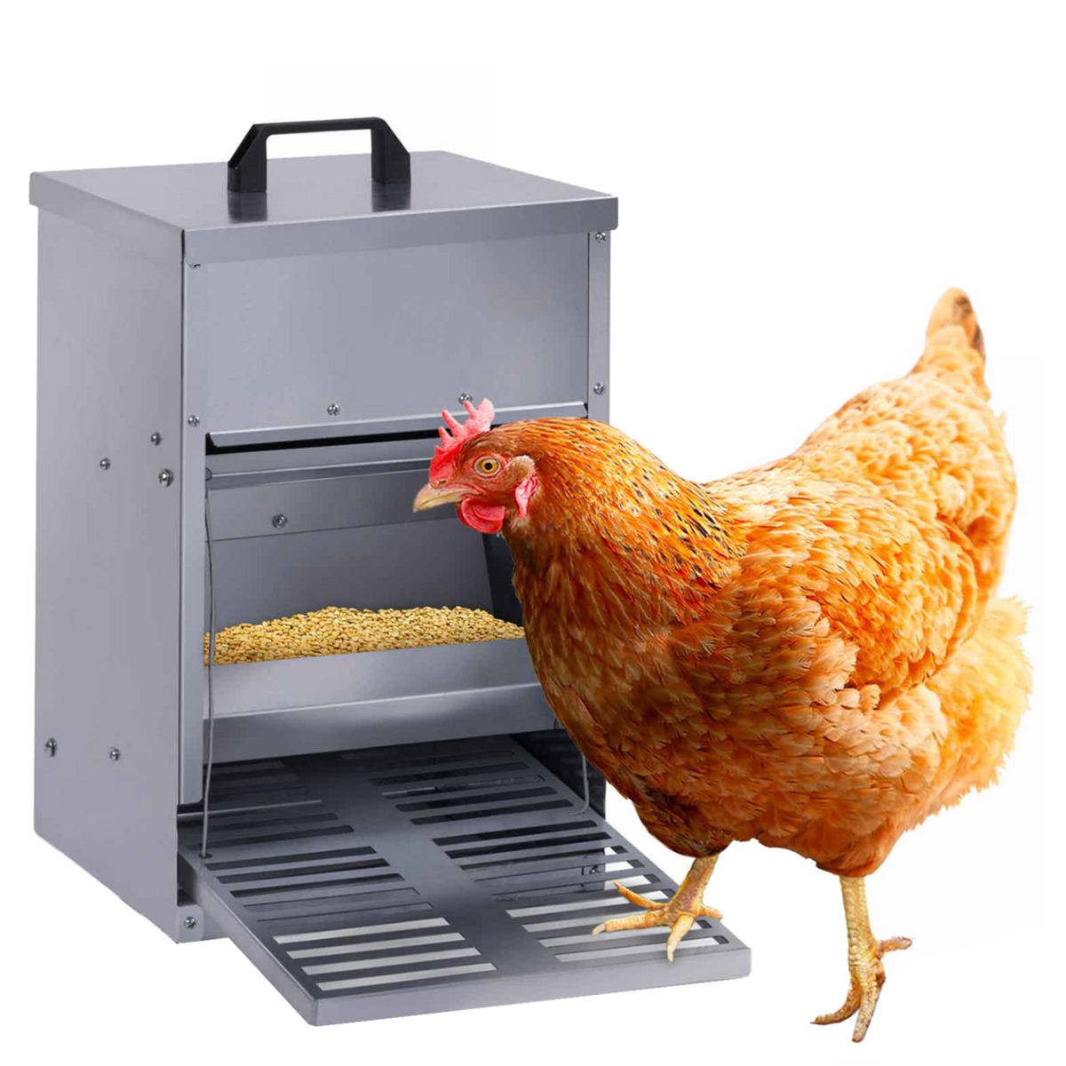 ID MARKET Mangeoire à pédale pour poules distributeur automatique 5 kg anti-nuisibles