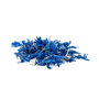 Voir la diapositive 1 : Aromandise Fleurs comestibles bio - Fleurs de Bleuet 15 g