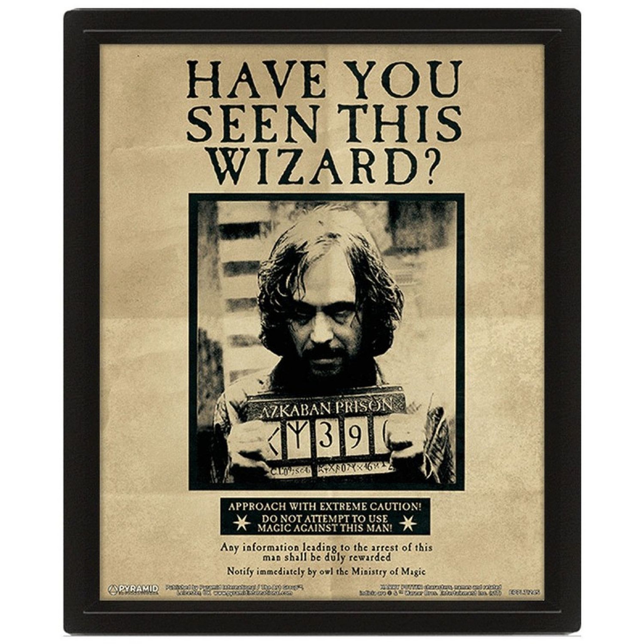 Voir la diapositive 2 : Cadre 3D Lenticulaire Sirius Black et Harry Potter