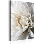 Paris Prix Tableau Imprimé  White Dahlia. Coloris disponibles : Multicolore