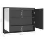 Voir la diapositive 6 : VIDAXL Armoire a miroir de salle de bain 80x15x60 cm MDF anthracite