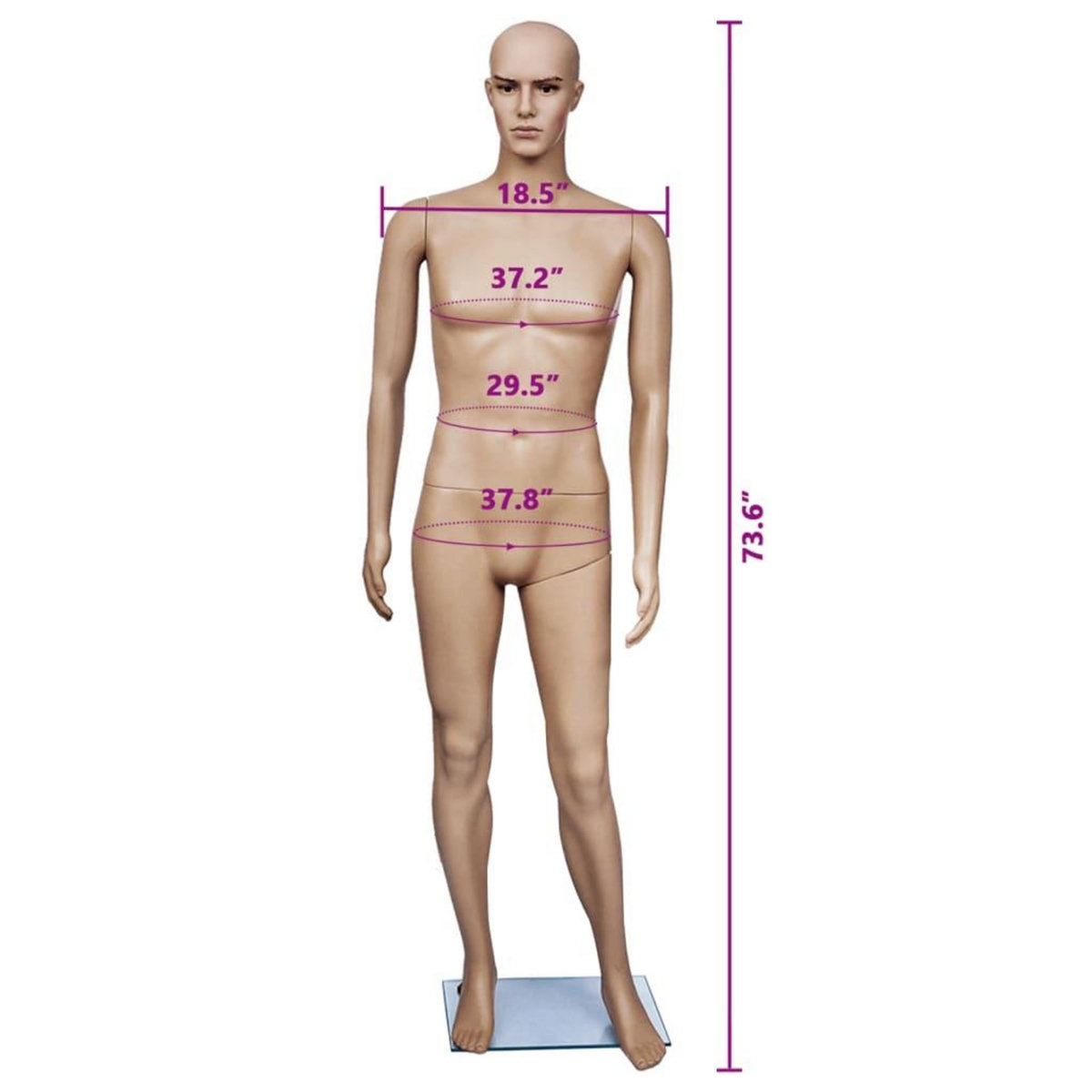 VIDAXL Mannequin de vitrine Homme A