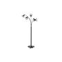 Voir la diapositive 2 : Paris Prix Lampadaire Design 5 Têtes  Elsa  152cm Noir