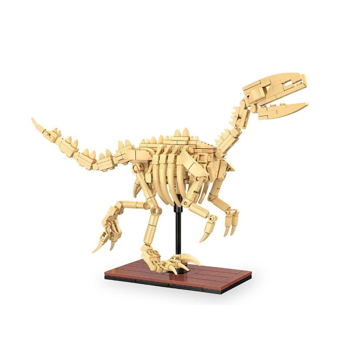 Jamara CaDA Fossile dinosaure Vélociraptor Bricks