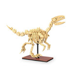 Jamara CaDA Fossile dinosaure Vélociraptor Bricks
