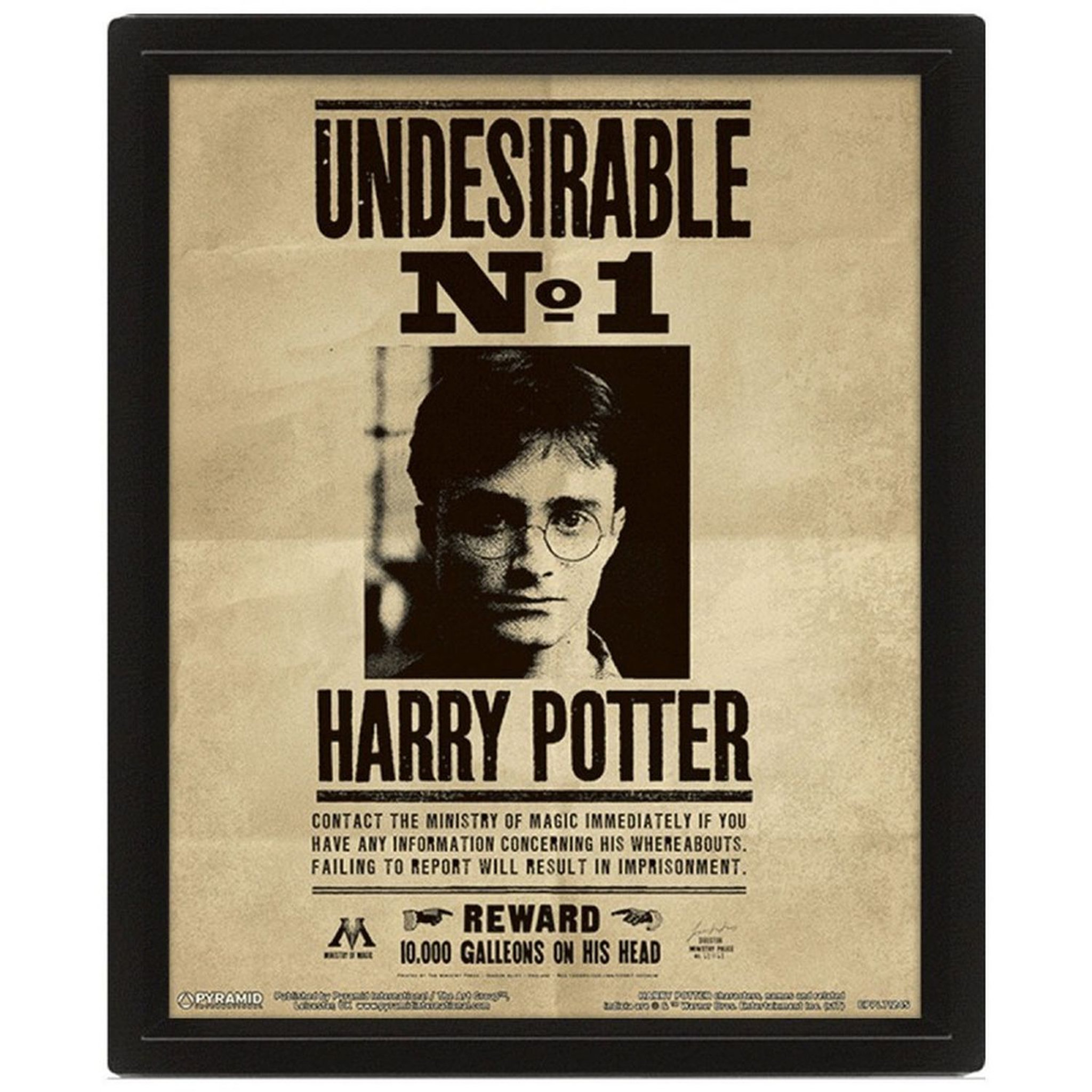 Cadre 3D Lenticulaire Sirius Black et Harry Potter